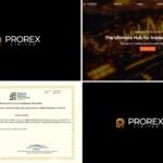 Prorex Trading Signals